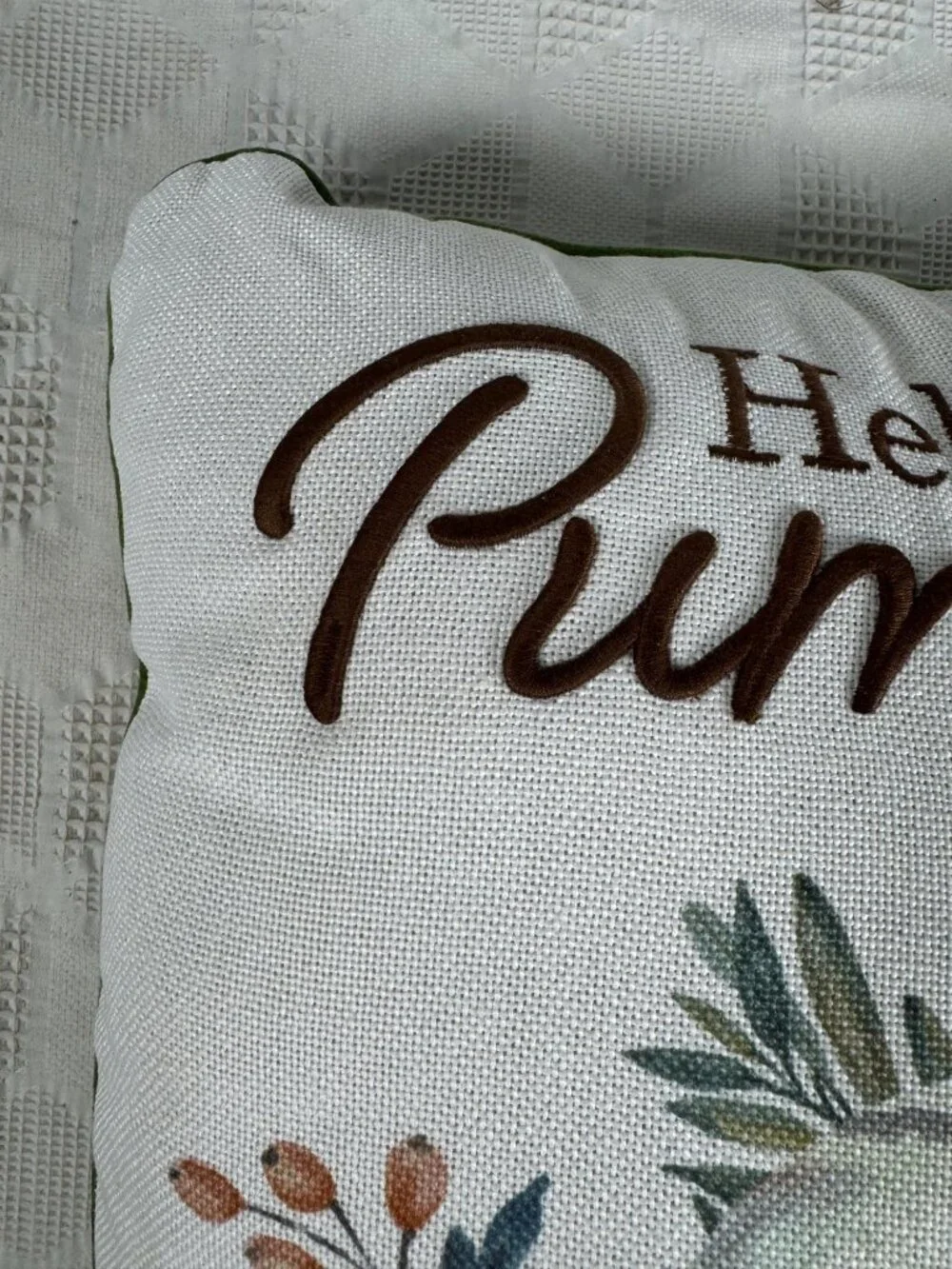 Hello Pumpkin Fall Throw Pillow Embroidered Text Watercolor Pumpkin 16 Inches